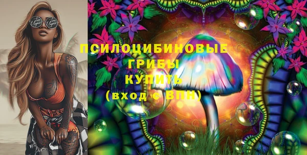 ПСИЛОЦИБИНОВЫЕ ГРИБЫ Липки