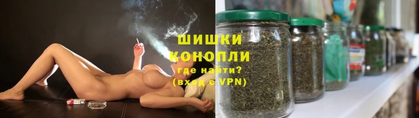 ПСИЛОЦИБИНОВЫЕ ГРИБЫ Липки