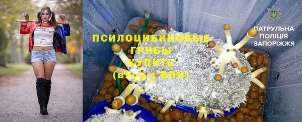ПСИЛОЦИБИНОВЫЕ ГРИБЫ Липки
