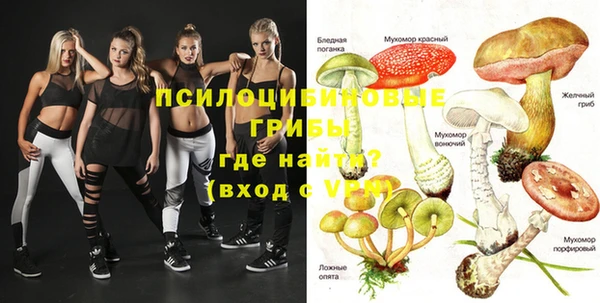 ПСИЛОЦИБИНОВЫЕ ГРИБЫ Липки
