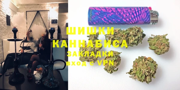 ПСИЛОЦИБИНОВЫЕ ГРИБЫ Липки