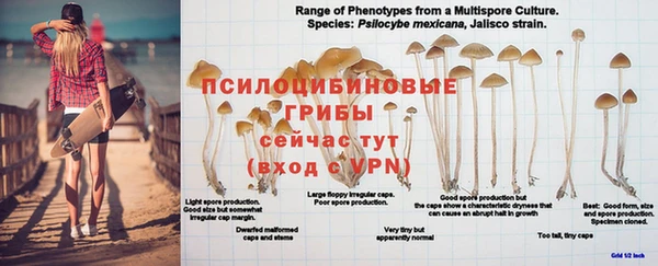 прущая мука Лиски