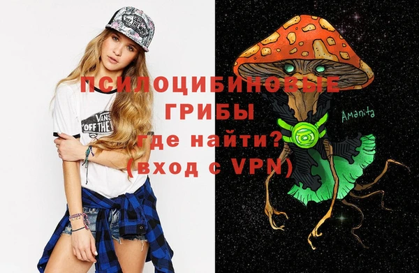 ПСИЛОЦИБИНОВЫЕ ГРИБЫ Липки