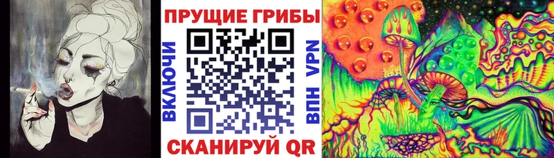 Псилоцибиновые грибы мицелий  мега ССЫЛКА  Ермолино 